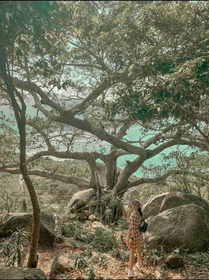 Nhat Lam Thuy Trang 차