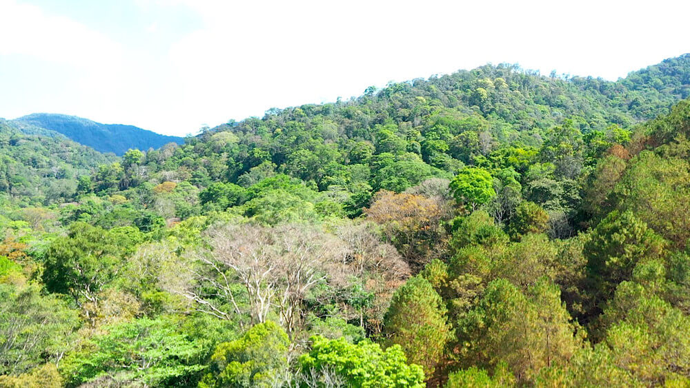 Kon Ka Kinh 국립공원은 웅장한 자연을 즐기기 위해 방문할 수 있는 생태학적 관광지 중 하나입니다.
