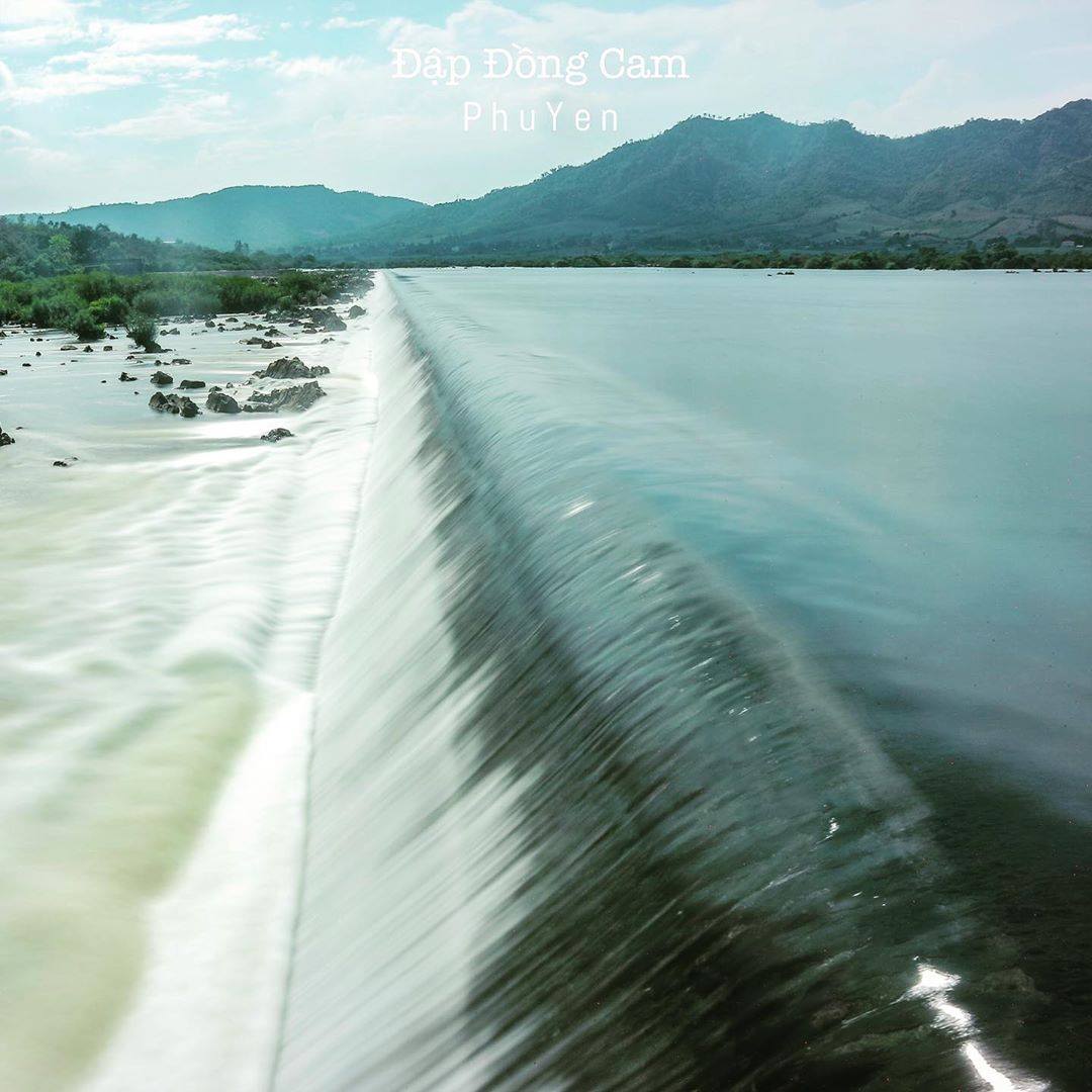 フーイエンオレンジ畑ダム - 黄色い花と緑の草の国の宝物