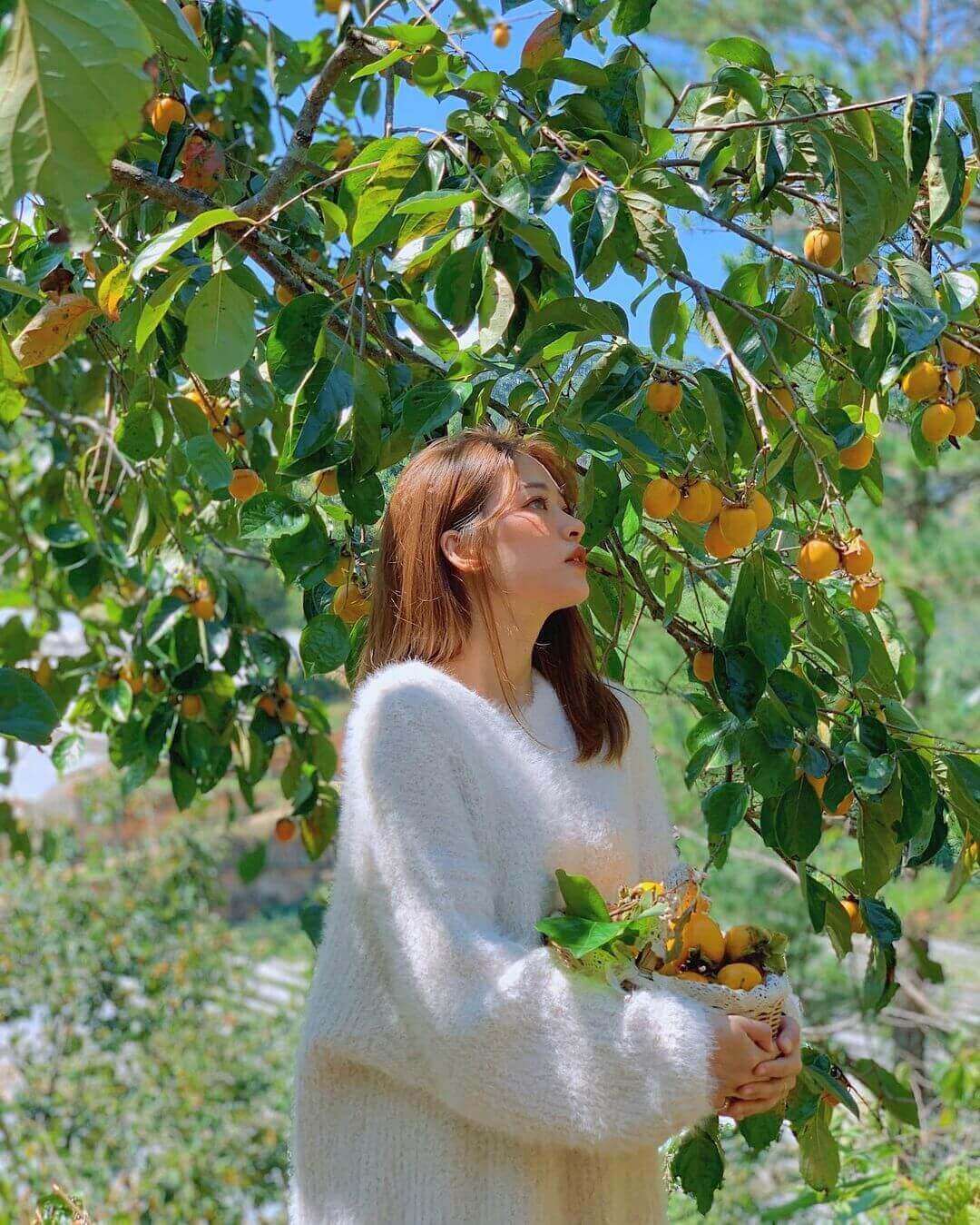 Vườn trái cây Trung An - dành cho team thích chụp ảnh,sống healthy