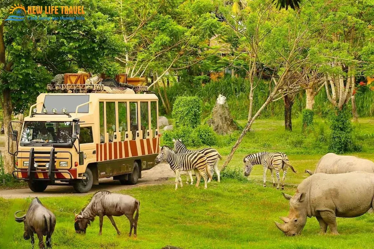 Vinpearl Safari Phú Quốc