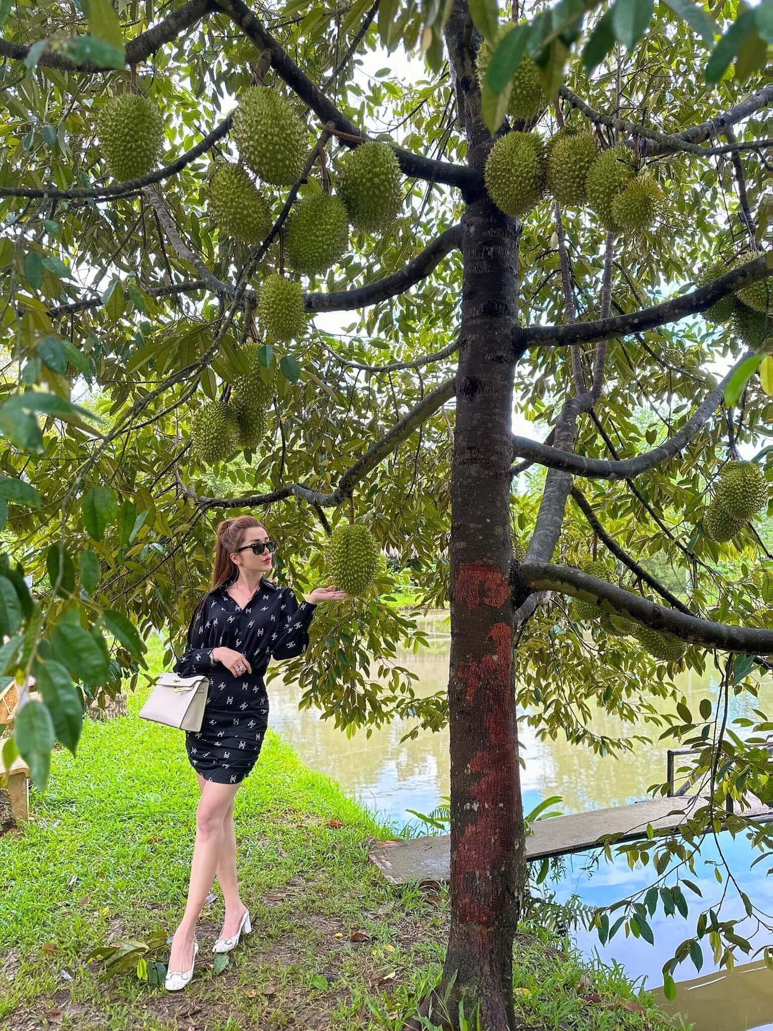 Khu du lịch Lung Cột Cầu