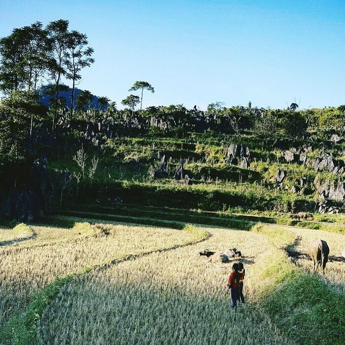 Lạc vào khung cảnh tứ bề đều là đá.
