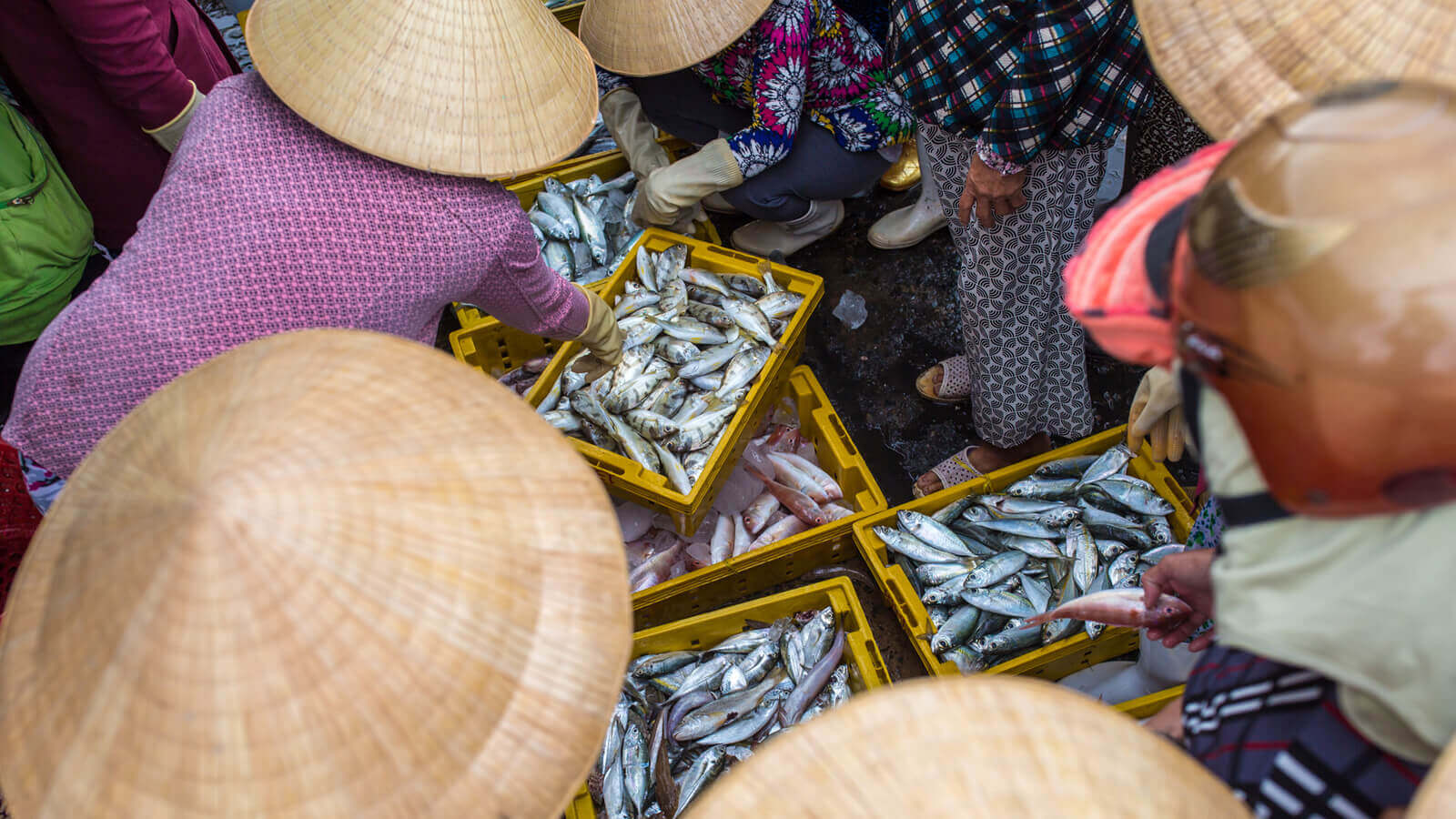 Khu du lịch Mũi Né