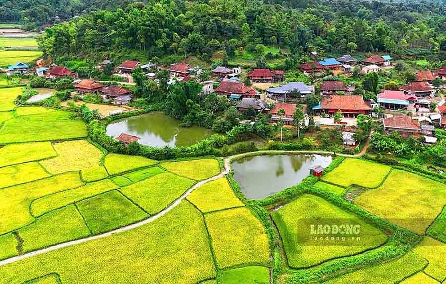 Toàn cảnh bản Che Căn