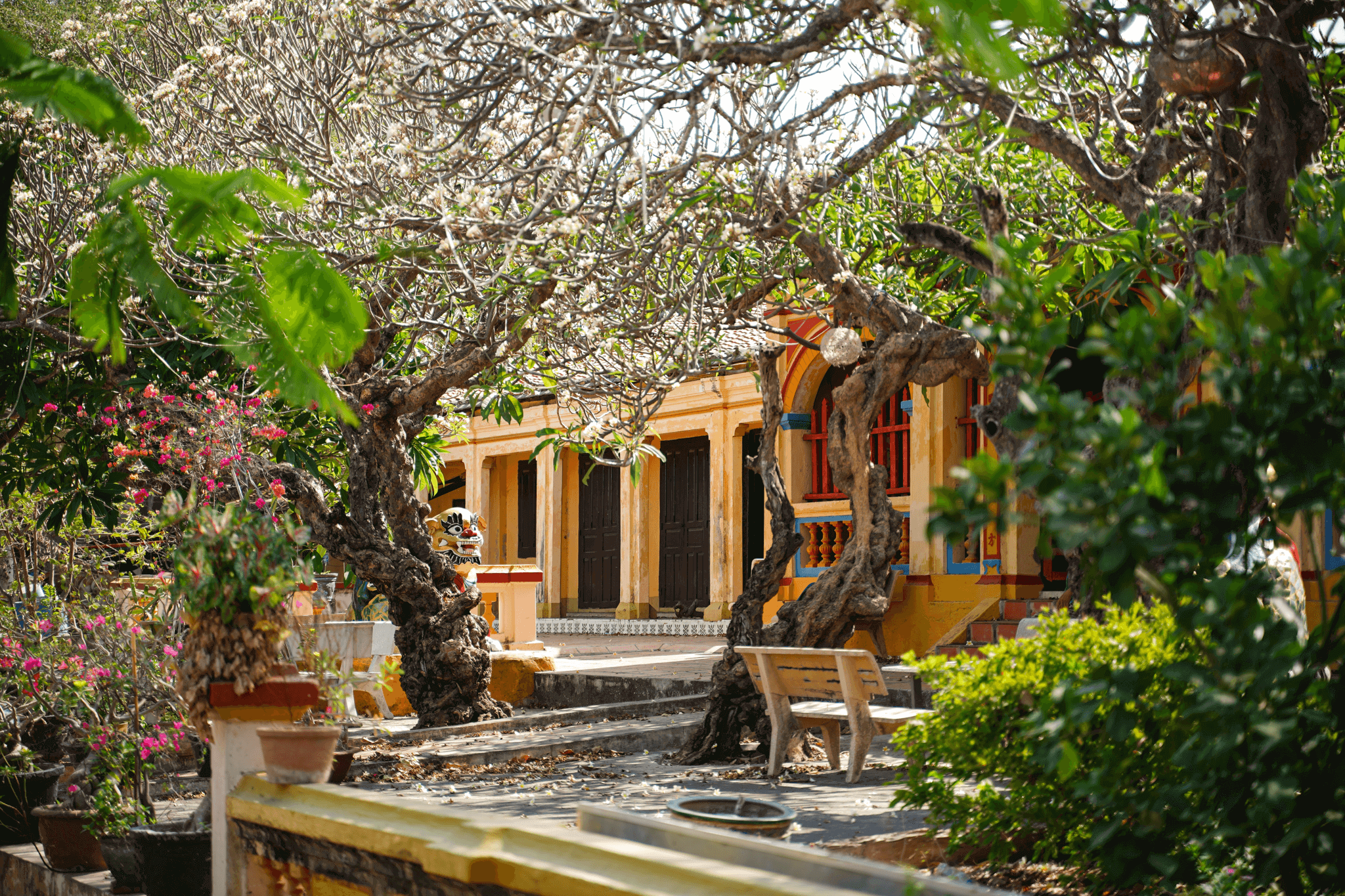 Đình làng Đức Nghĩa – độc đáo nét văn hóa,lịch sử của vùng đất Bình Thuận