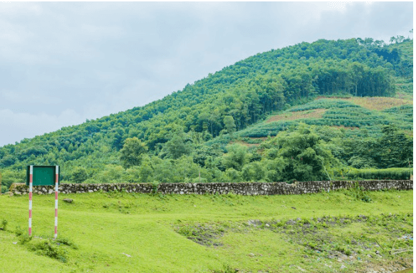 スオイオン湖周辺の自然景観