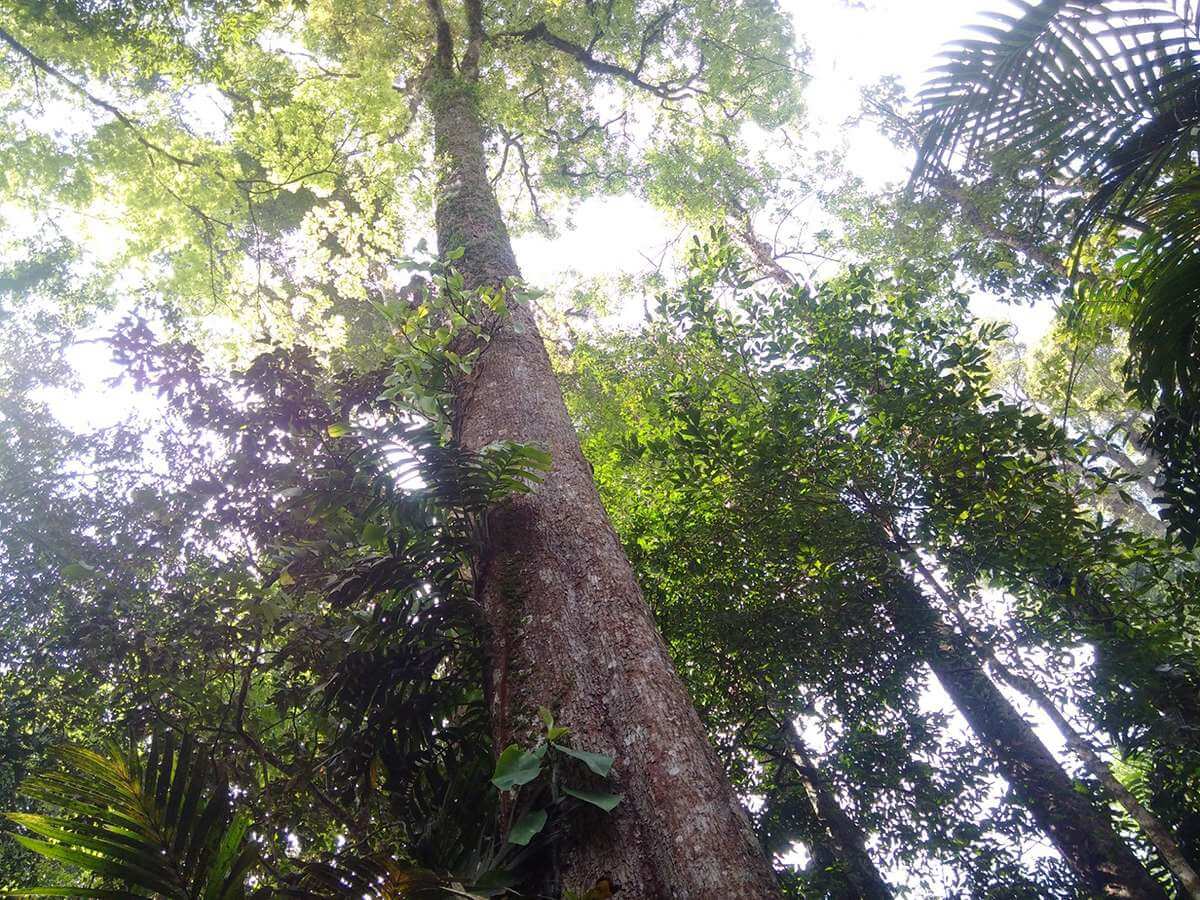 나하우 자연보호구역