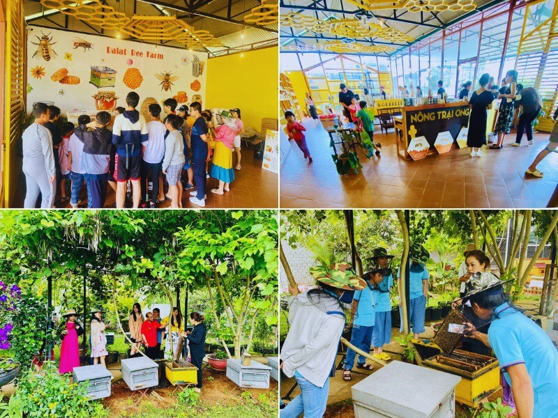 ダラット郊外ツアー