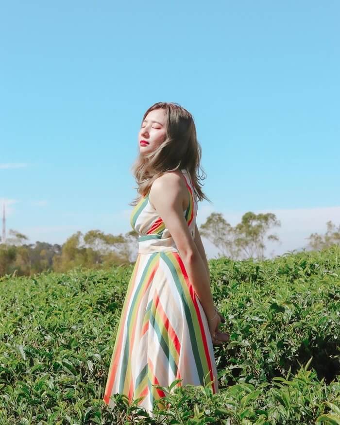 Đồi Chè Gia Nghĩa