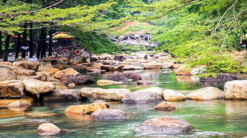 トゥイ チャウ エコツーリズム エリアを探索する