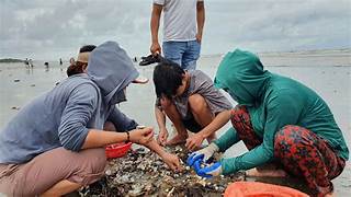 沿岸都市クアローに数百人が海から「幸運を拾おう」と集まった