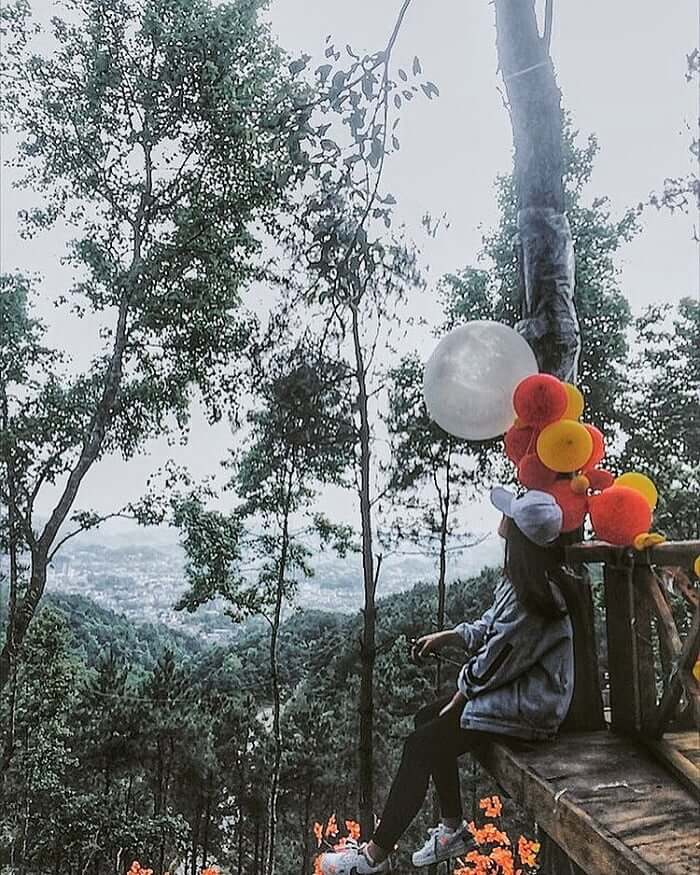 Đồi thông Thiên Sơn Thịnh An Gia