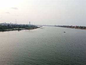 バラの花びらの波を広げるニャット・レー