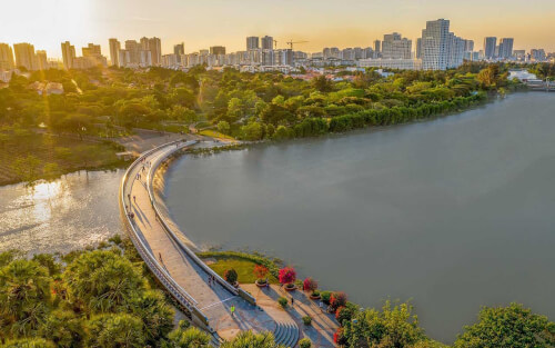 スターライト ブリッジ - 上からの眺め