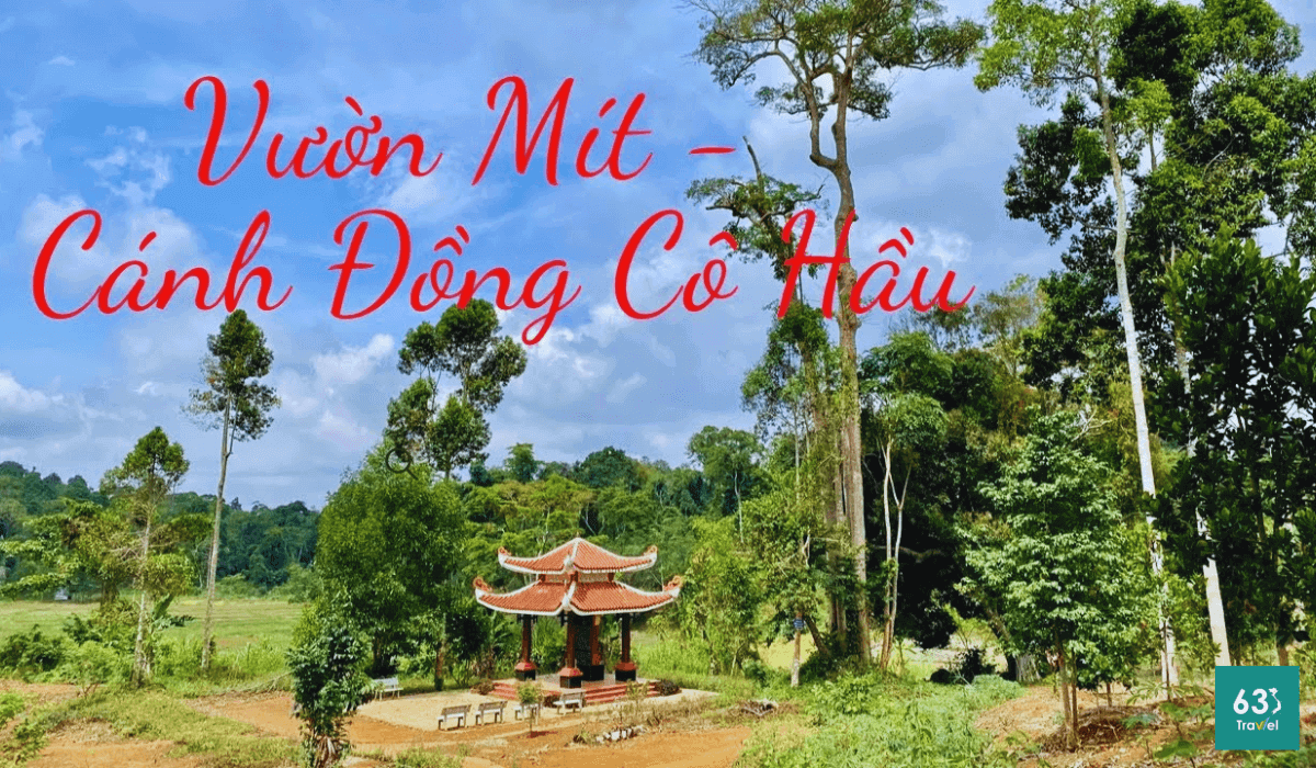 Di tích Quốc gia đặc biệt Vườn mít và Cánh đồng Cô Hầu