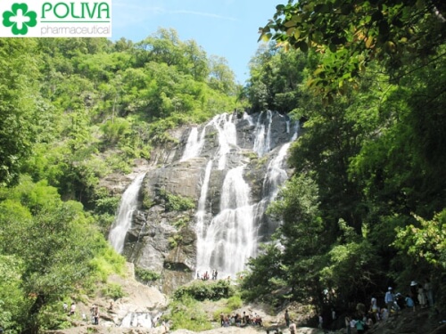 Chap Po 폭포는 Ninh Thuan의 아름다운 관광지입니다.