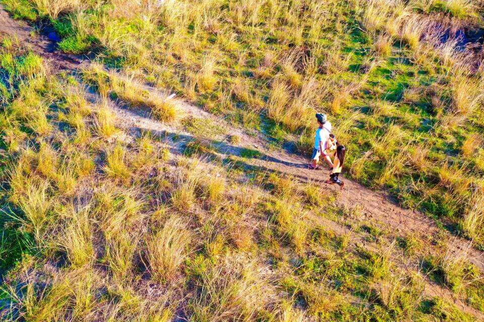 クアンナム州アンバンの黄金の「燃える草の季節」