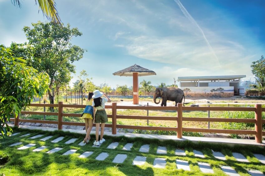 FLC 동물원 사파리 퀴논