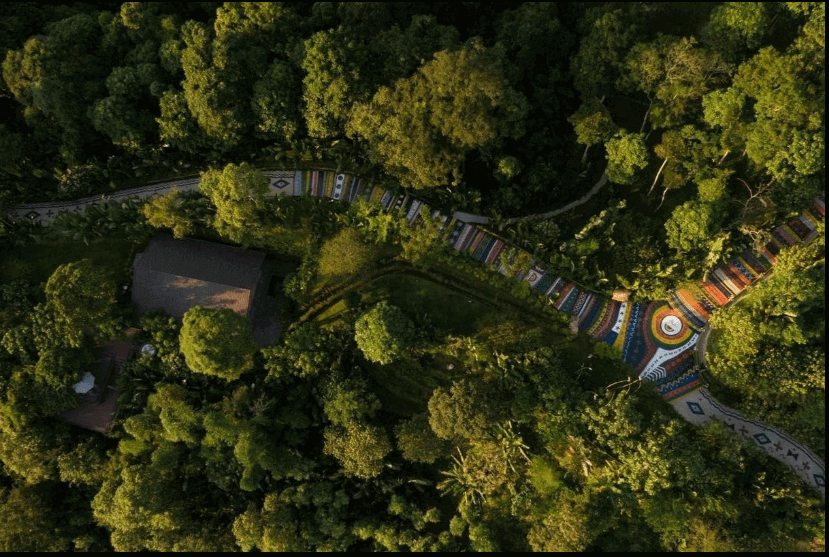 ヘリコプターでハザンに到着したアメリカ人億万長者の最初のグループを歓迎する舞台裏