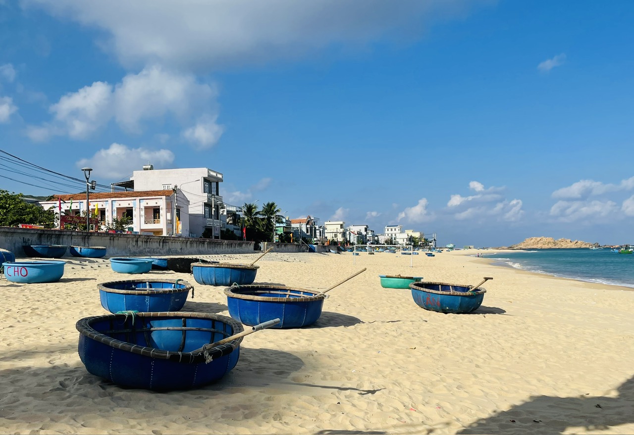 苔、海藻、平和なニョンハイ漁村が観光客を惹きつける