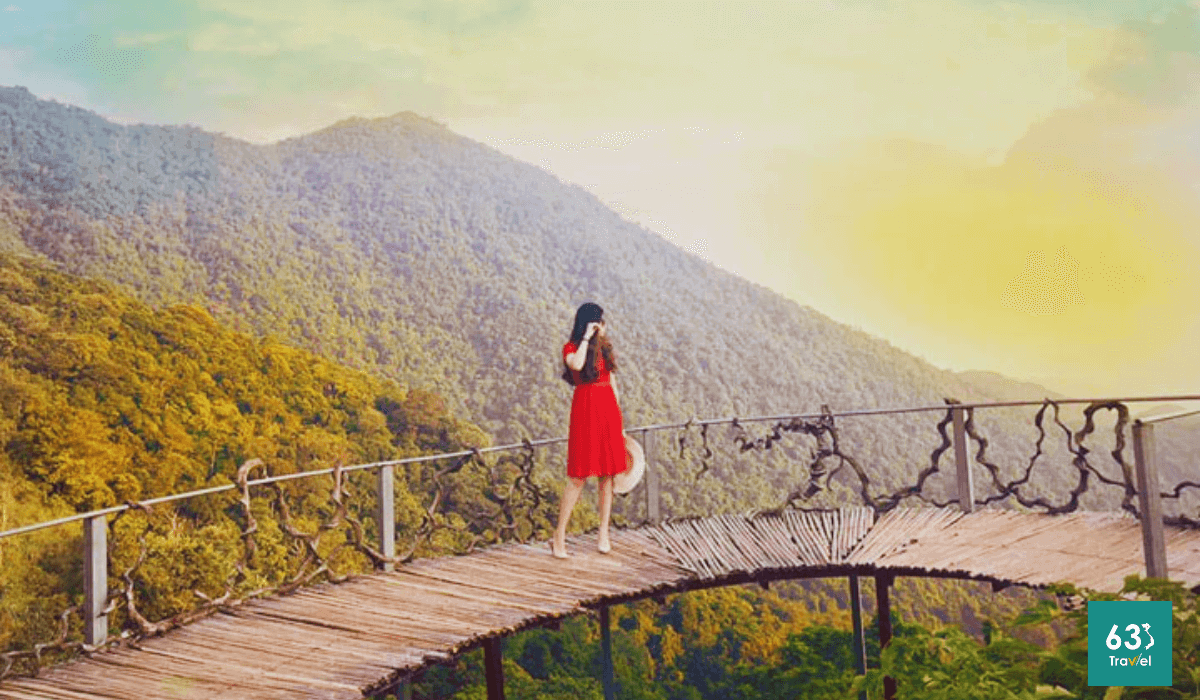 Cầu Mây Tam Đảo,thiên đường sống ảo được giới trẻ săn đón