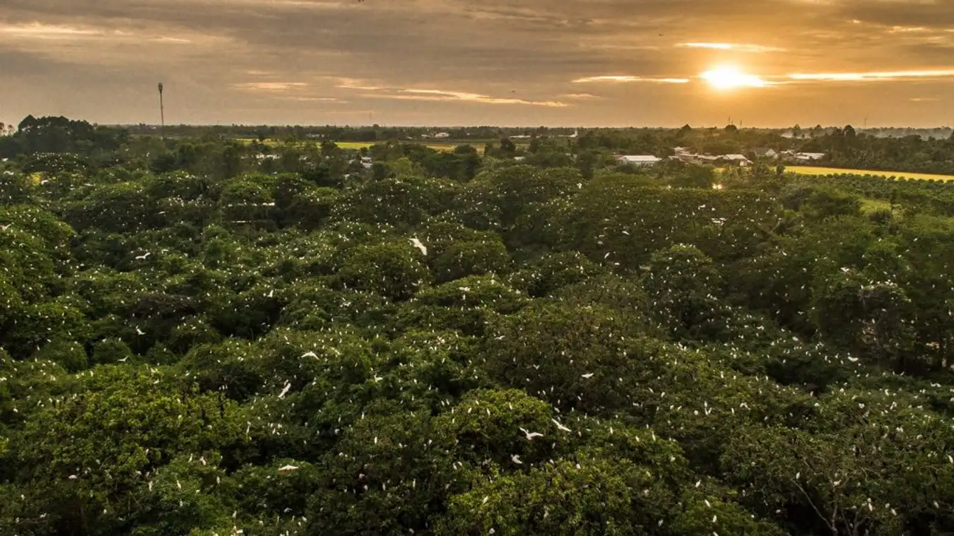 夕暮れのコウノトリ園の風景