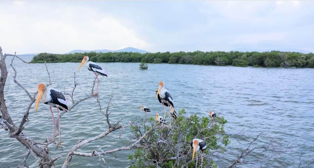 緑豊かな自然と多様な動植物を探索する
