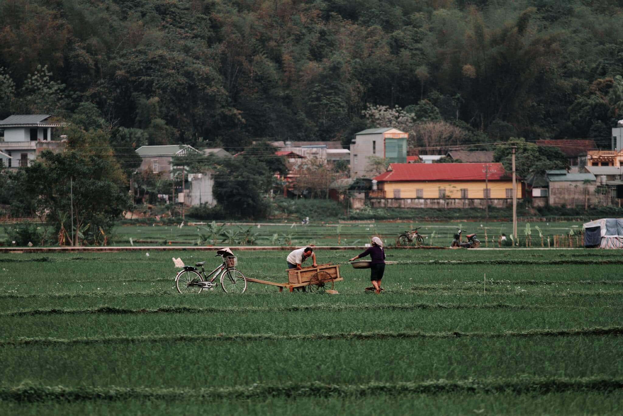 Bản Lác Mai Châu - Vẻ đẹp yên bình làm say đắm mọi trái tim