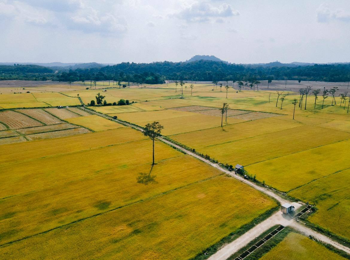 Weekend Stress Relief at Ta Lai Tourist Village in Dong Nai