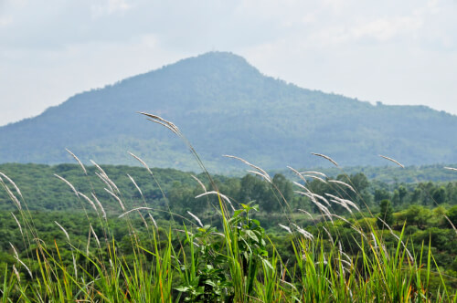 バラ山 - ビンフォックで最も高い山