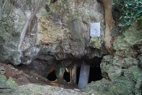 Ngắm cây võng tiên hàng trăm năm tuổi trước cửa động Từ Thức