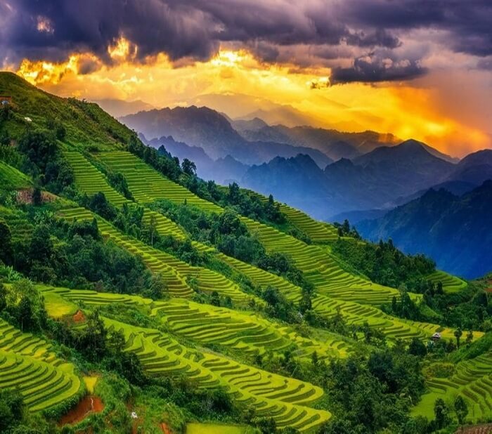 ダオサン高原はライチャウ市の北に位置します。