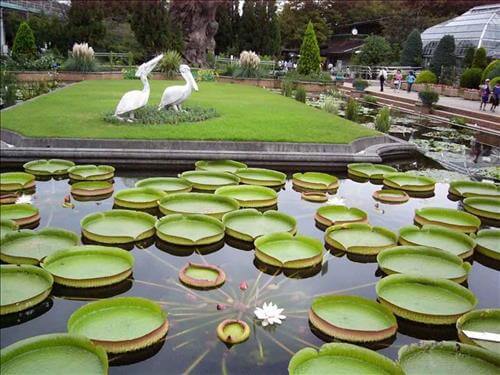 Chùa Phước Kiển