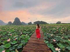 「バーチャルリビングパラダイス」ハンムアでロマンチックな秋を満喫