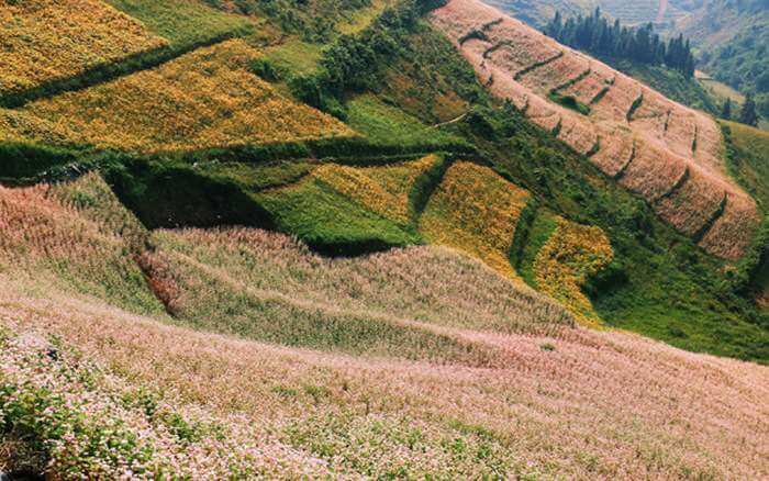 Đồi tam Giác Mạch xã Lử Thần