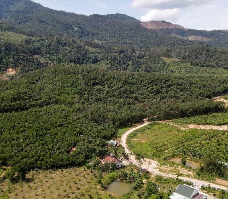 쿨 스프링 ​​- 르 패스