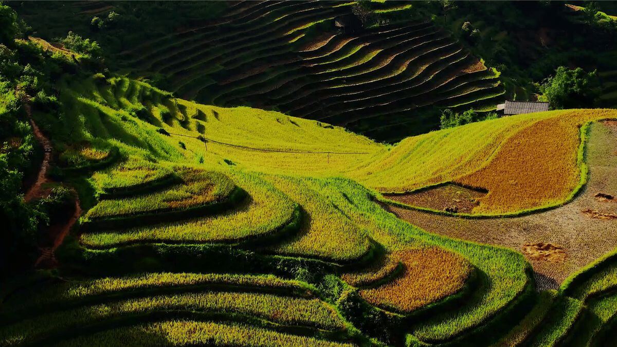 Golden Horizons: Why La Pan Tan is Vietnam’s Best Kept Secret