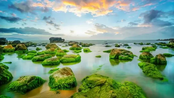 Xa xa là bãi đá với nhiều hình thù, kích cỡ khác nhau. Bước chân lên bãi đá, bạn sẽ thu vào tầm mắt một cảnh biển nên thơ với những con sóng bạc đầu trải dài trắng xóa cả một vùng.