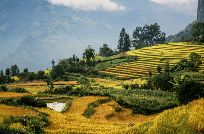 Bức tranh thiên nhiên đẹp nao lòng