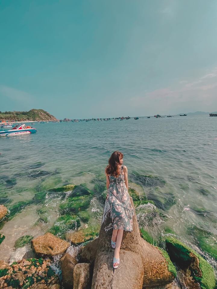 울퉁불퉁한 바위에는 녹색 이끼가 함께 자라나고 있습니다. 이 유형의 이끼는 녹색이며 바위에 단단히 달라붙고 해수면을 따라 부드럽게 흔들립니다.