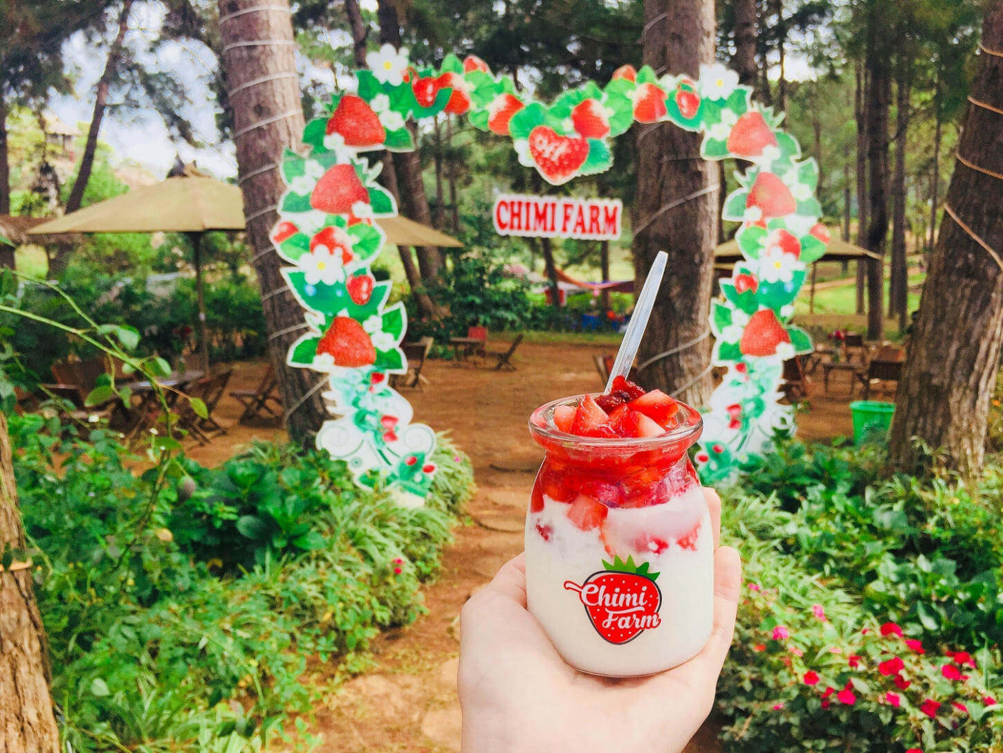 Vườn dâu tây Chimi Farm Mộc Châu