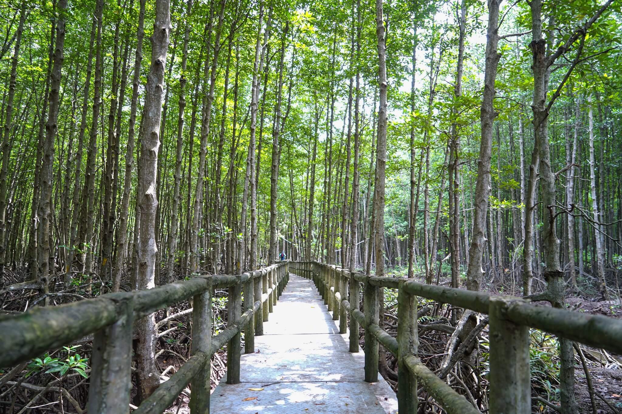 Khu du lịch sinh thái Dần Xây