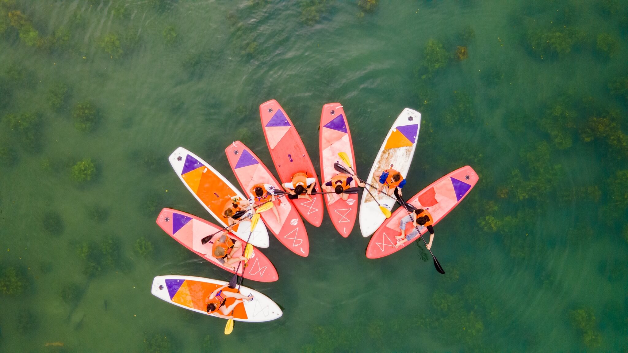 Công viên Suối Mơ