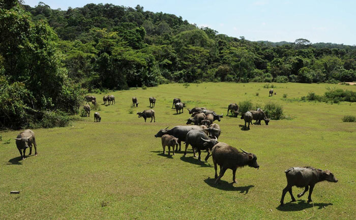 곤추랑 자연보호구역