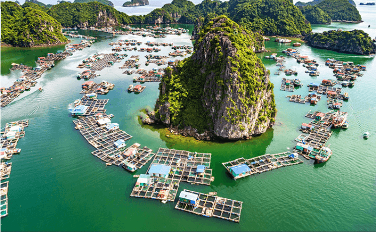 Làng chài Cửa Vạn