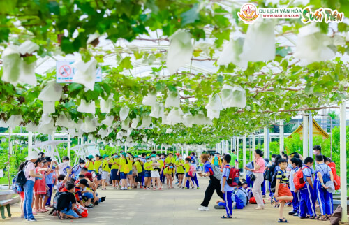 Khu du lịch văn hóa Suối Tiên