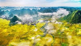 ベトナムで最も美しい実りの米の季節を「狩り」するコーディネート