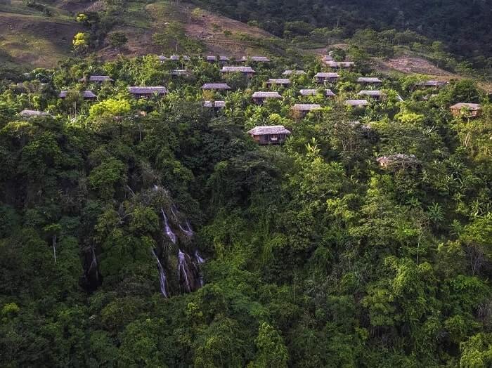 2일차 - 원시림을 보호하는 놀라운 휴양지 – AVANA RETREAT(3끼 식사)