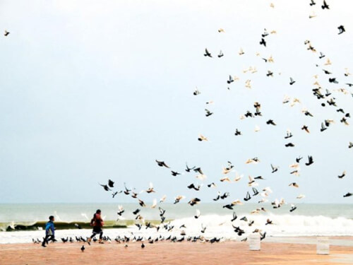 Vẻ đẹp lãng mạn của công viên Biển Đông